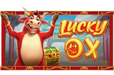 Live sports and casino browsing on apk 277 for Bangladesh adults